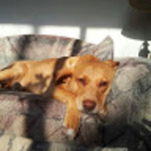 Meet your Posher, Leeann